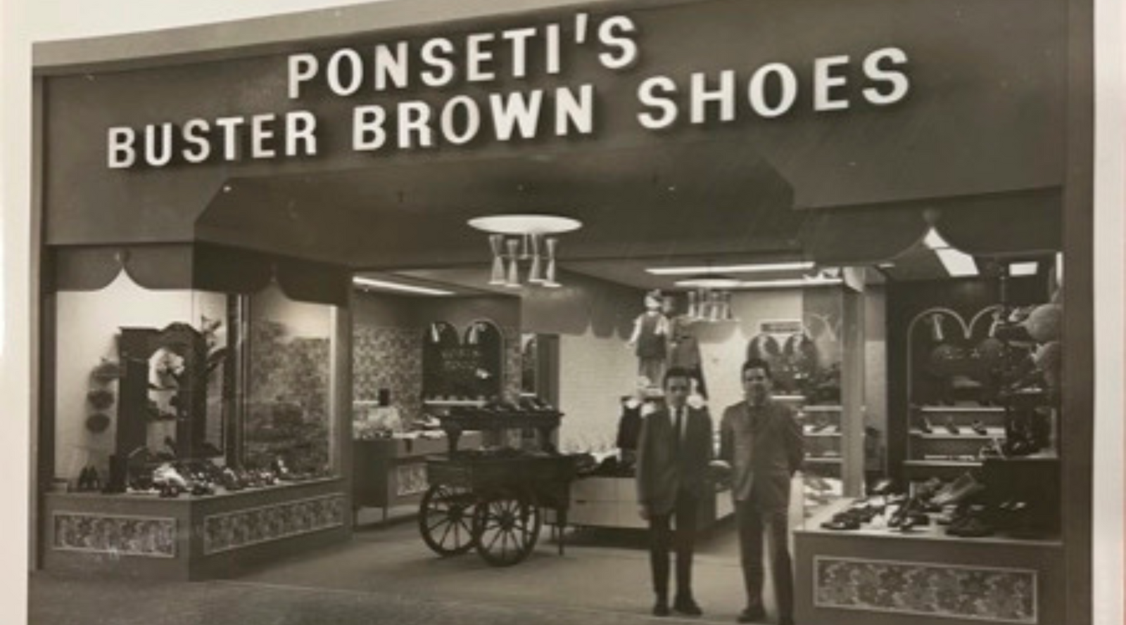 Shoe dept clearview mall discount