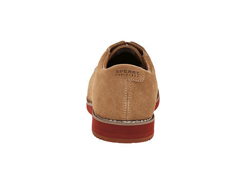 Tevin - Brown Suede by Sperry - Ponseti's Shoes